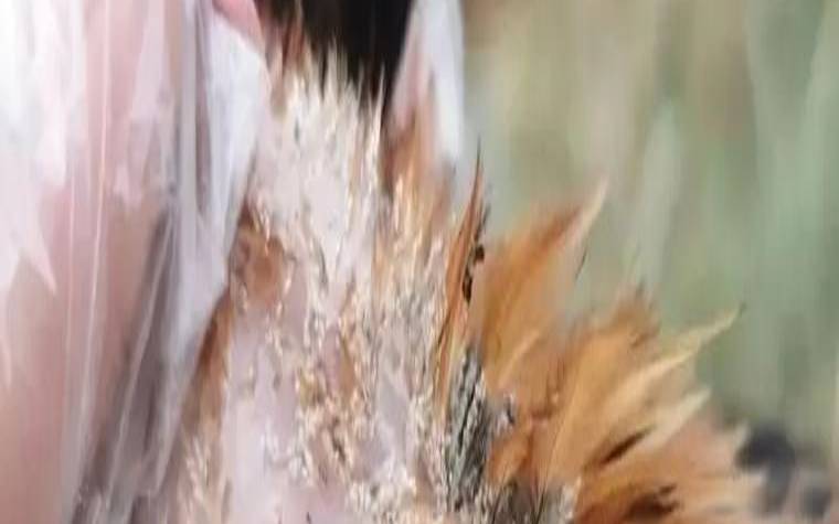 鸡啄自己的眼睛怎么办（鸡用爪子挠眼睛和头部）