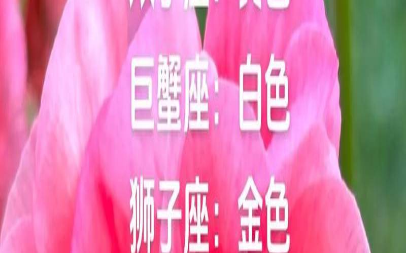 9.17日是什么星座呀（3月6号什么星座）