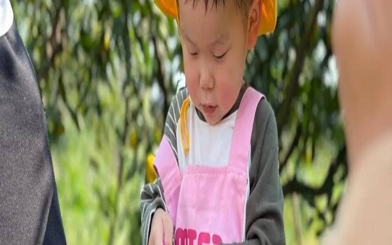 梦见吃桔子财运怎么样（梦见在树上摘橘子吃）