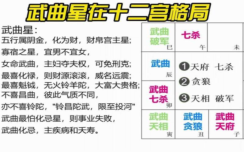 武曲星入十二宫详解（天相在子女宫看配偶）