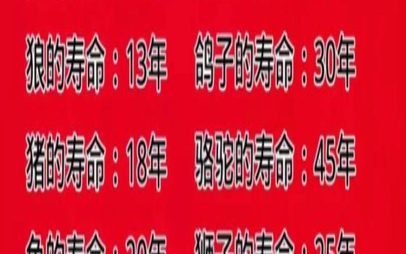 免费测试一生命运测试寿命（预测命运最准的方法）
