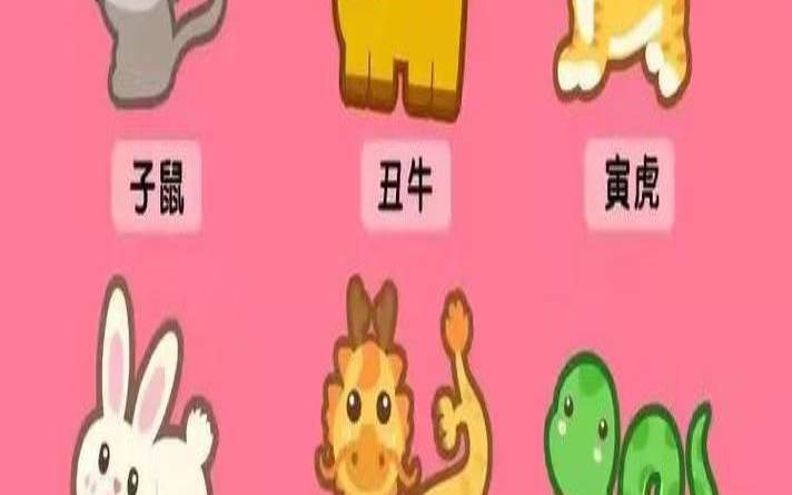梦见十二生肖全部动物（梦见自己属相的动物）