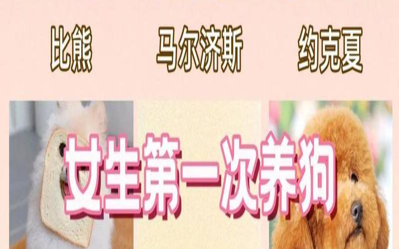 测一测你适合养什么狗（测试自己适合养什么宠物）