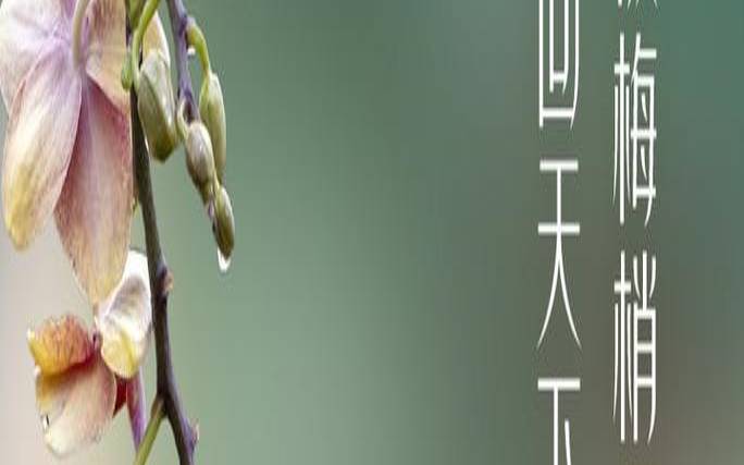 霜降要下雨好还是天晴好（立春后天气会变暖吗）