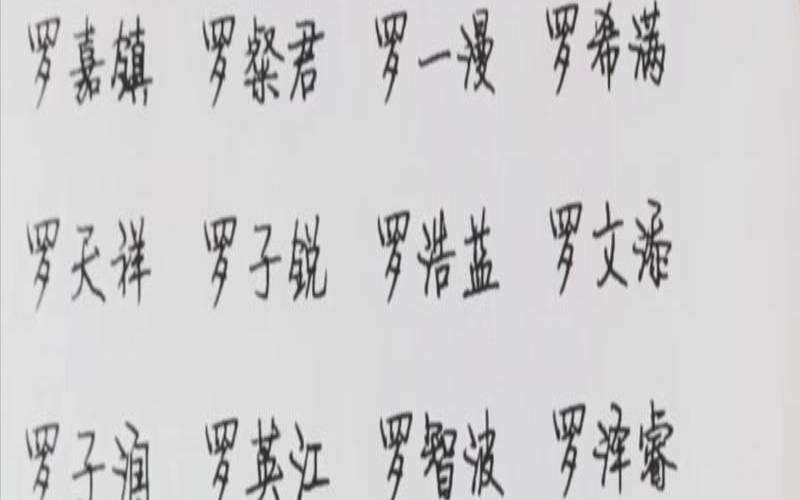 罗姓宝宝取名大全免费取名（姓罗的男孩名字洋气点）