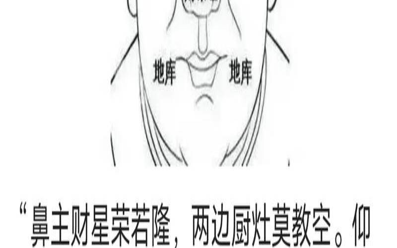鼻子形状测试（鼻子的财运从几岁到几岁）