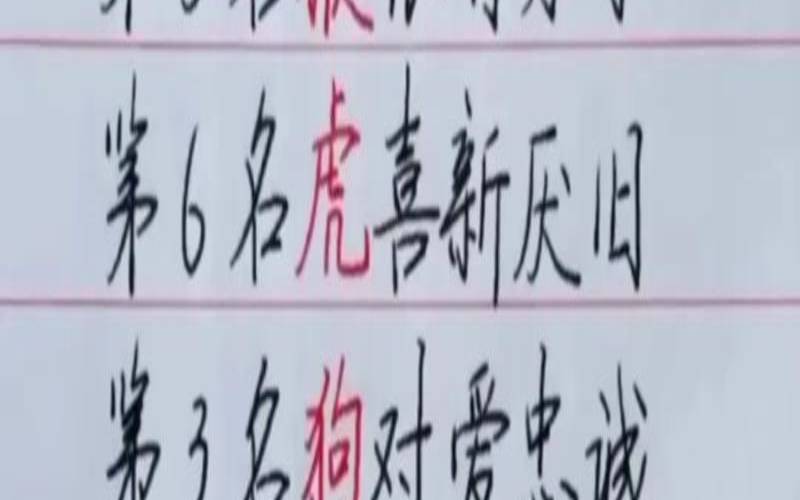 十二生肖的爱情阻力是什么（十二生肖对待感情的态度）