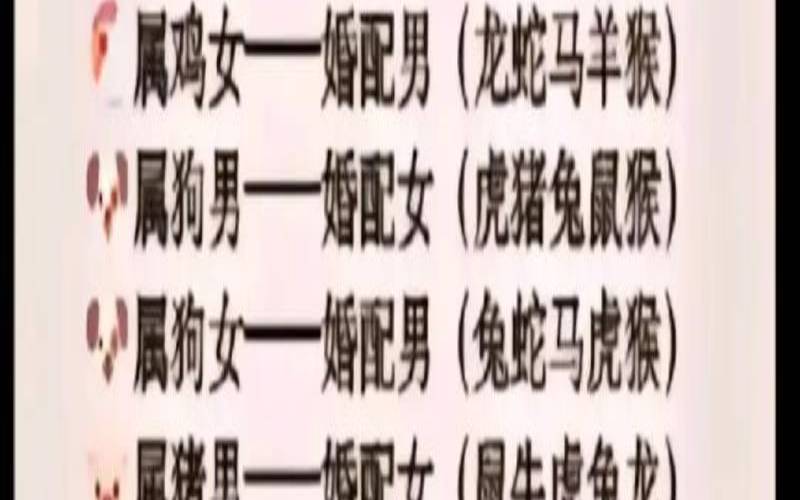 男猴女兔差19岁相配吗（男属兔和猴相配婚姻如何）
