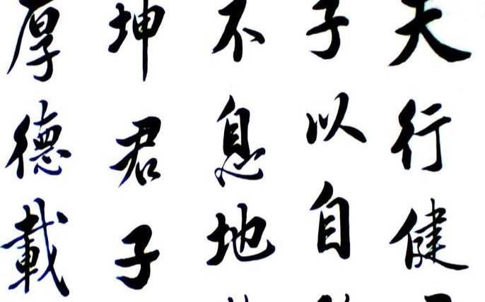 君子以自强不息出自哪里（君子以自强不息的）