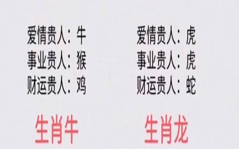 最有毅力的动物生肖（坚持不懈指什么生肖）