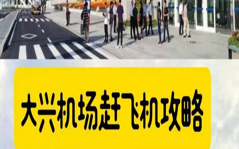 梦到机场赶飞机（梦到从机场出来）