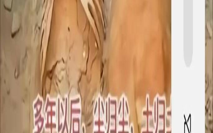 梦见尘埃什么意思（梦见尘土落在自己身上）