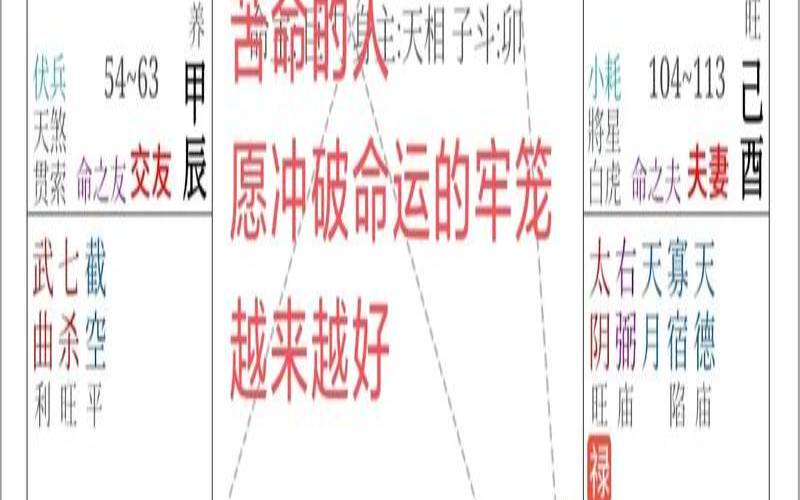 紫微命盘看法（紫微斗数排盘哪个软件准）