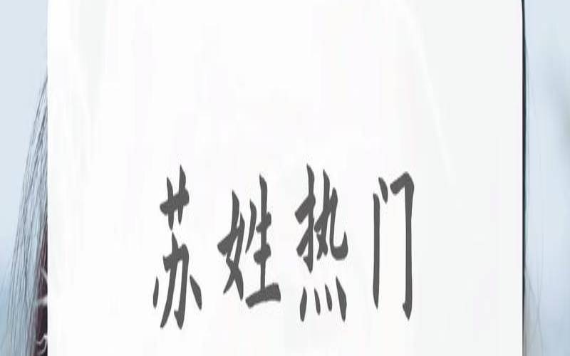 苏姓宝宝起名大全男孩（苏宝宝取名字大全）