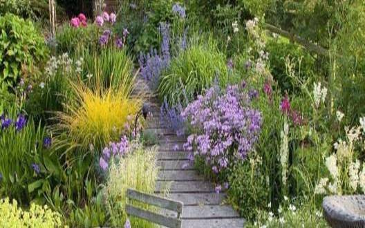 庭院最适合栽种的花卉,庭院绿植搭配效果图