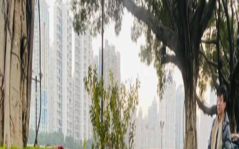 五行属水的汽车品牌有哪些（五行缺水开什么品牌车）