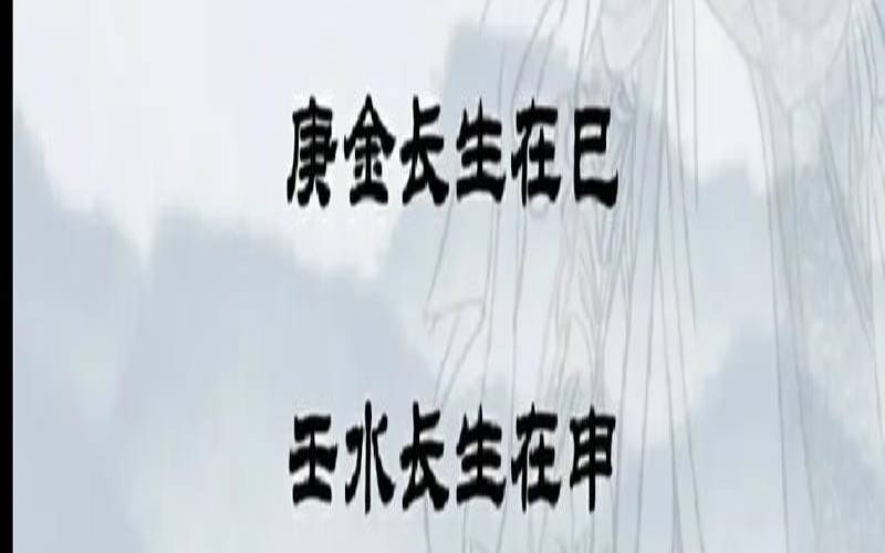 丁火对应十二地支吉凶（十二地支五行详解）
