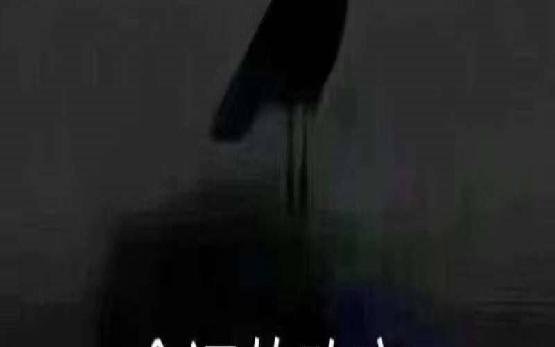 测试自己的创造力,机会是靠自己创造的