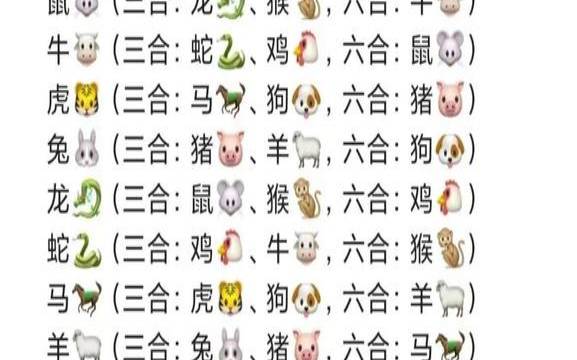 属兔和什么生肖最合,属兔最佳搭配什么生肖 属兔和什么生肖最合,属兔最佳搭配什么生肖