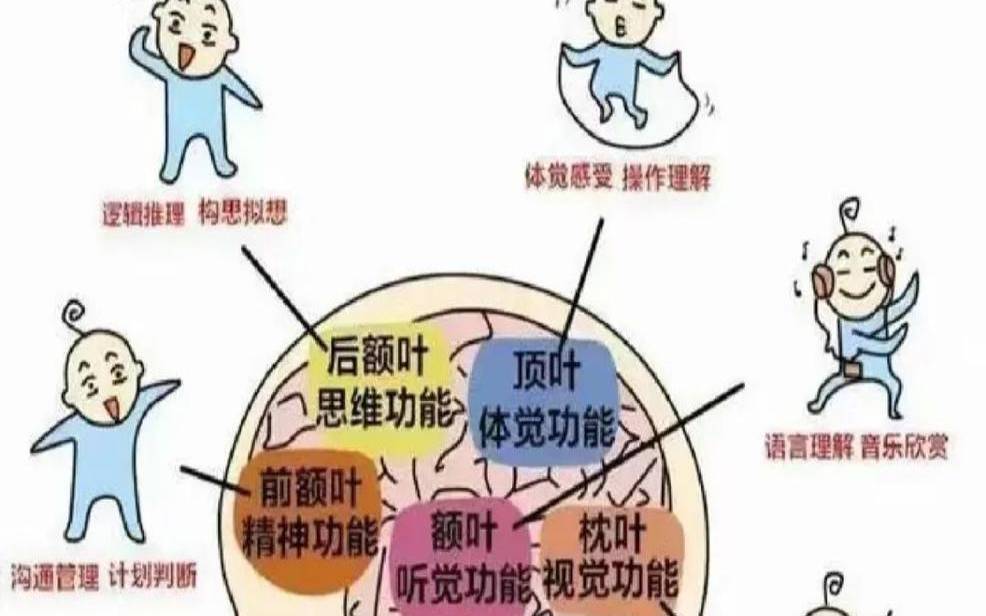 怀孕脑子会反应迟钝么,大脑迟钝注意力不集中