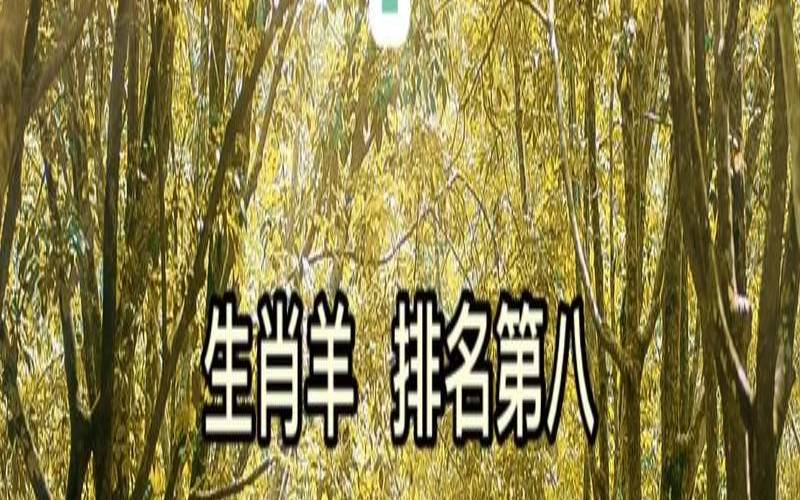 1979年属羊的手机号码,手机号吉利号码查询