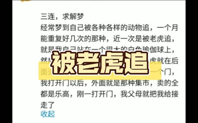 梦见被老虎追是什么预兆（女人梦见老虎追是吉兆吗）