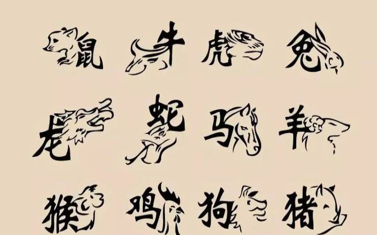 9个数字看十二生肖生命灵数（十二地支旺衰表）