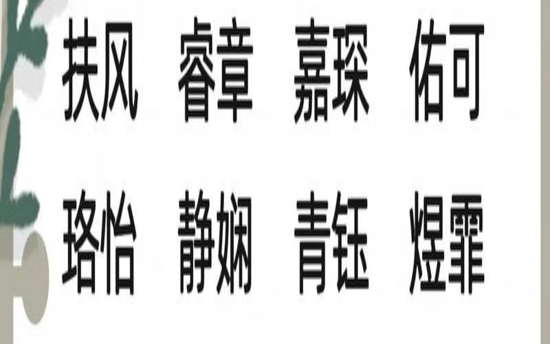 弘字取名男孩名字大全（2024龙宝宝女孩名）