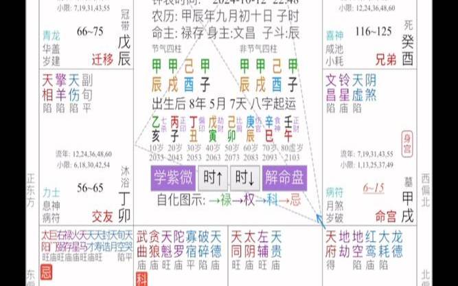 紫微命盘煞星有哪些,紫微排盘软件哪个最精确 紫微命盘煞星有哪些,紫微排盘软件哪个最精确