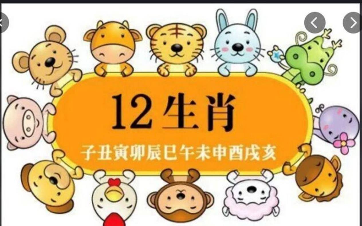 1974属虎男车牌号吉祥字母,属虎的选什么车牌号好 1974属虎男车牌号吉祥字母,属虎的选什么车牌号好