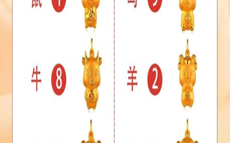 属鸡人的车牌号什么最好,属鸡1969终身幸运数字