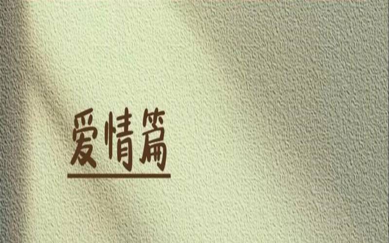举办婚礼的风水讲究（中国西式婚礼流程）