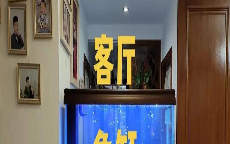 客厅怎么摆放鱼缸招财（客厅鱼缸怎么摆放旺财）