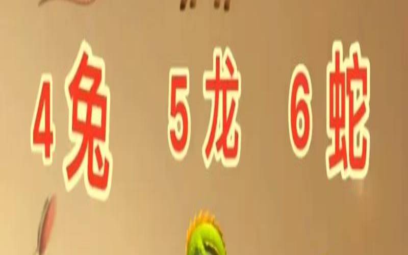 十二生肖生活（十二生肖容易得什么疾病）