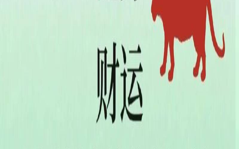 属虎人2024年2月运势及运程（属虎的2024年的运怎么样）
