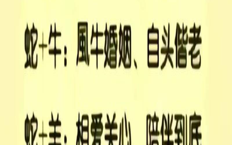 属蛇的贵人生肖是哪些（生肖蛇贵人属相）