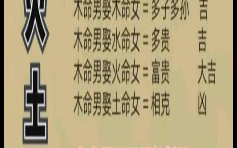 木命的人一生命运如何（木命不能穿什么颜色的衣服）