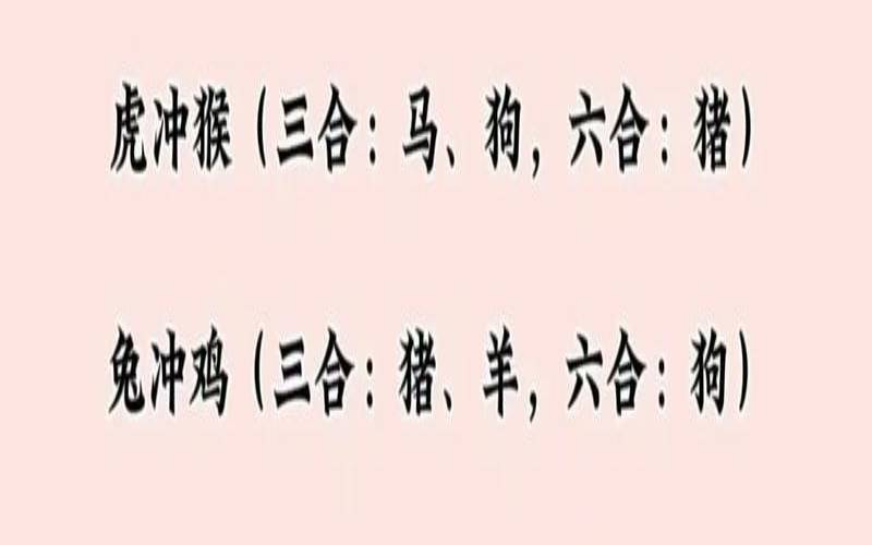 鼠的八字命运如何,属鼠的生辰八字查询 鼠的八字命运如何,属鼠的生辰八字查询