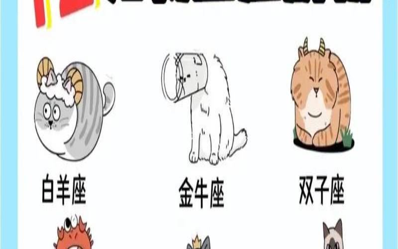 测你的性格像什么动物（测你像什么星座）
