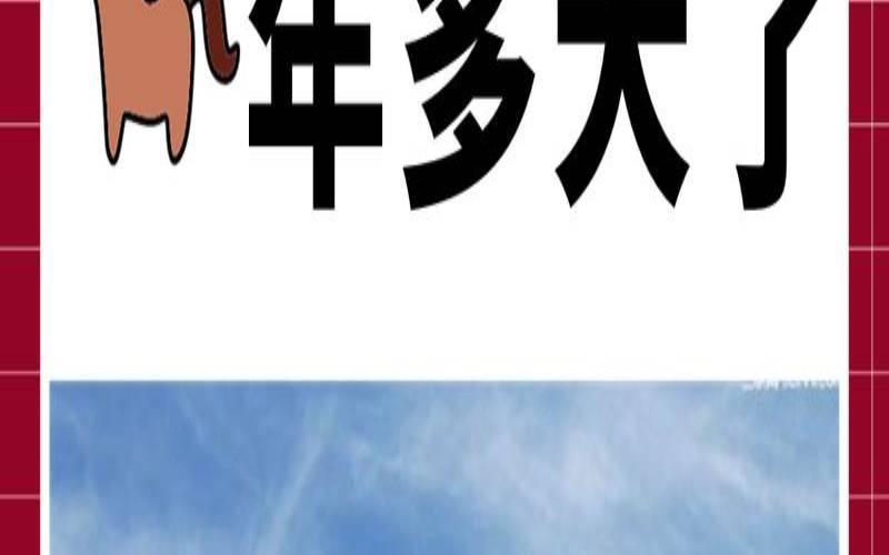 属马人今年多大岁数了（1954属马多大岁数）