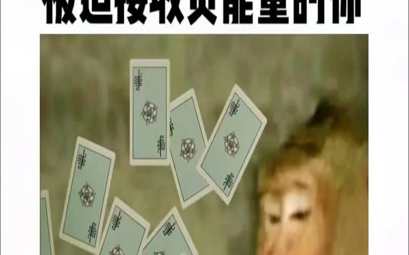 塔罗占卜他会背叛我吗,塔罗占卜他是想甩你吗
