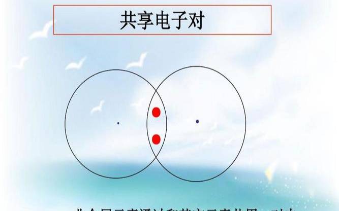 电子白痴是什么意思,共用电子对偏移程度怎么看