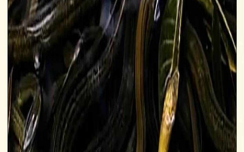 梦见被抓起来了,做梦自己被抓了预示着什么 梦见被抓起来了,做梦自己被抓了预示着什么