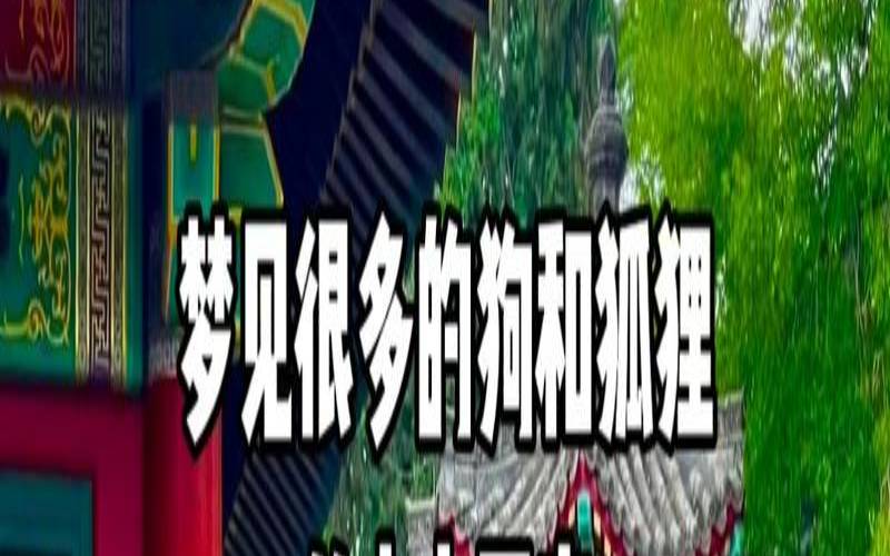 梦到狐狸要攻击我和家人,梦见狐狸靠近自己 梦到狐狸要攻击我和家人,梦见狐狸靠近自己