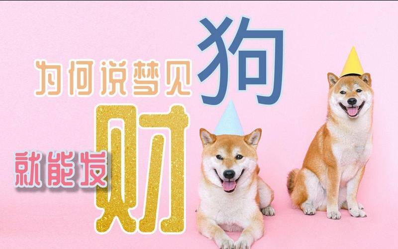 怀孕梦到狗是什么意思,女人梦到牵狗是要发财 怀孕梦到狗是什么意思,女人梦到牵狗是要发财