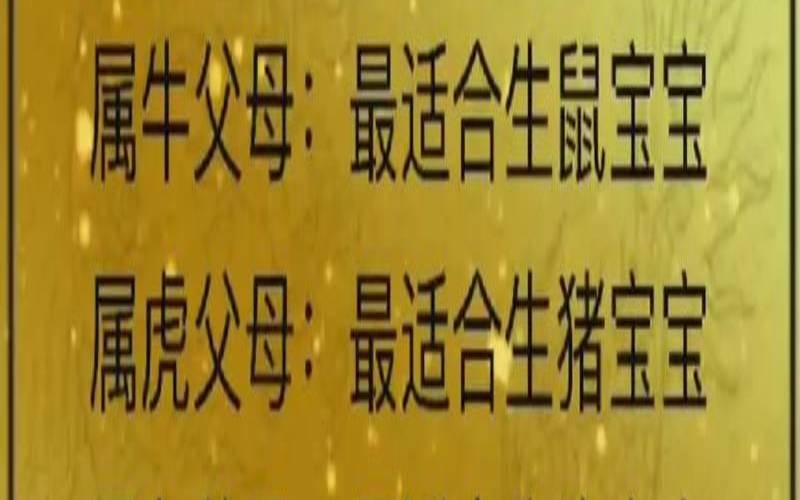 妈妈生什么属相的宝宝好,十二生肖宝宝哪个属相最好