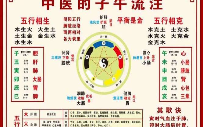 十二时辰与脏器对照表,十二时辰所对应的身体部位