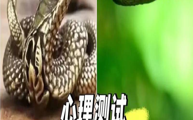 测试未来有多少财产,马上暴富的前兆 测试未来有多少财产,马上暴富的前兆