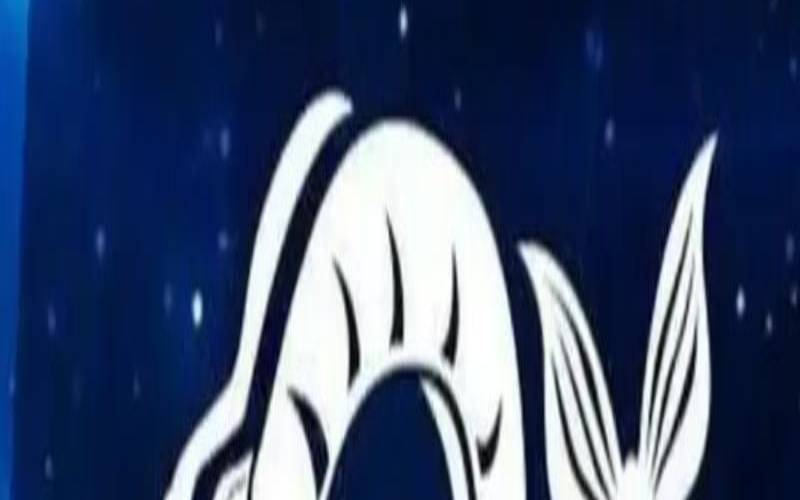 阳历4月22日是什么星座,4月22金牛座的性格