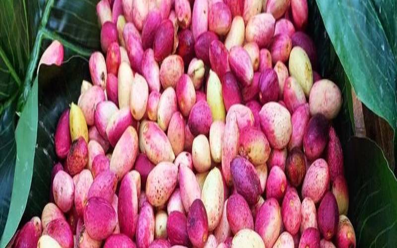 你是开心果吗怎么幽默回答,开心果到底是什么 你是开心果吗怎么幽默回答,开心果到底是什么